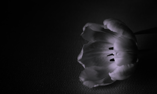 Anthyesti Funeral Services,Bangalore